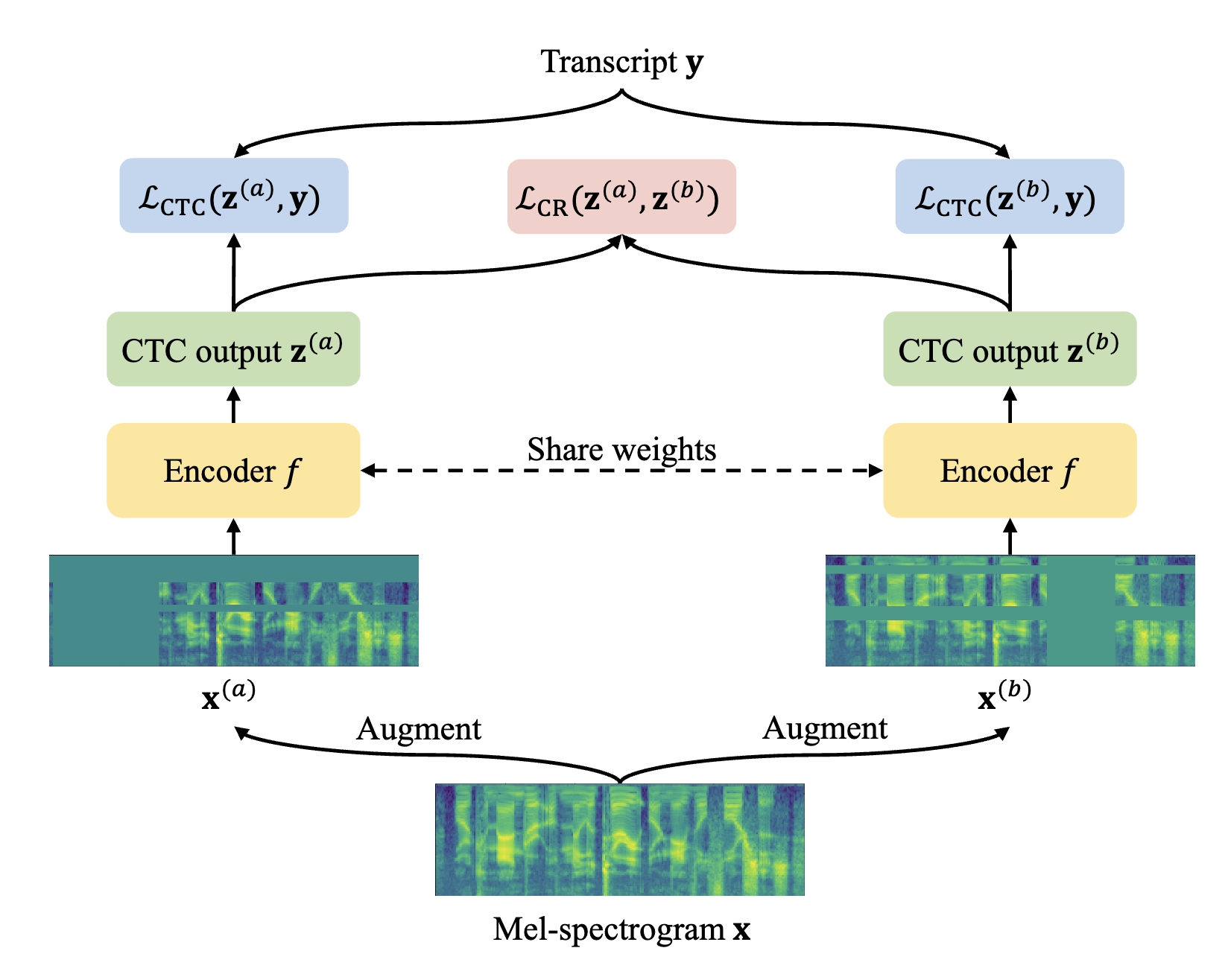CR-CTC architecture with two augmented branches