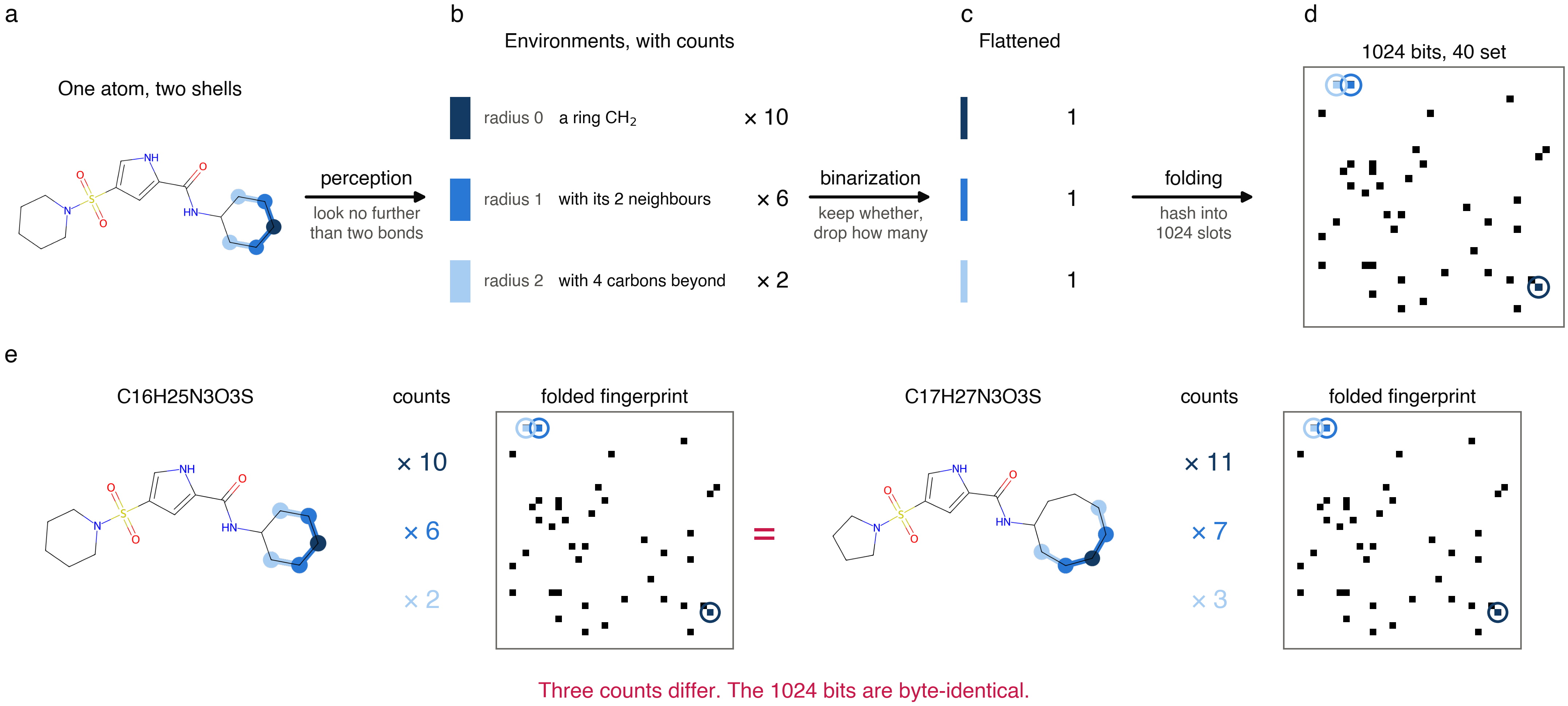 How an ECFP4 is built: perception, binarization and folding, shown on one atom and then on two ZINC compounds that end up with identical fingerprints