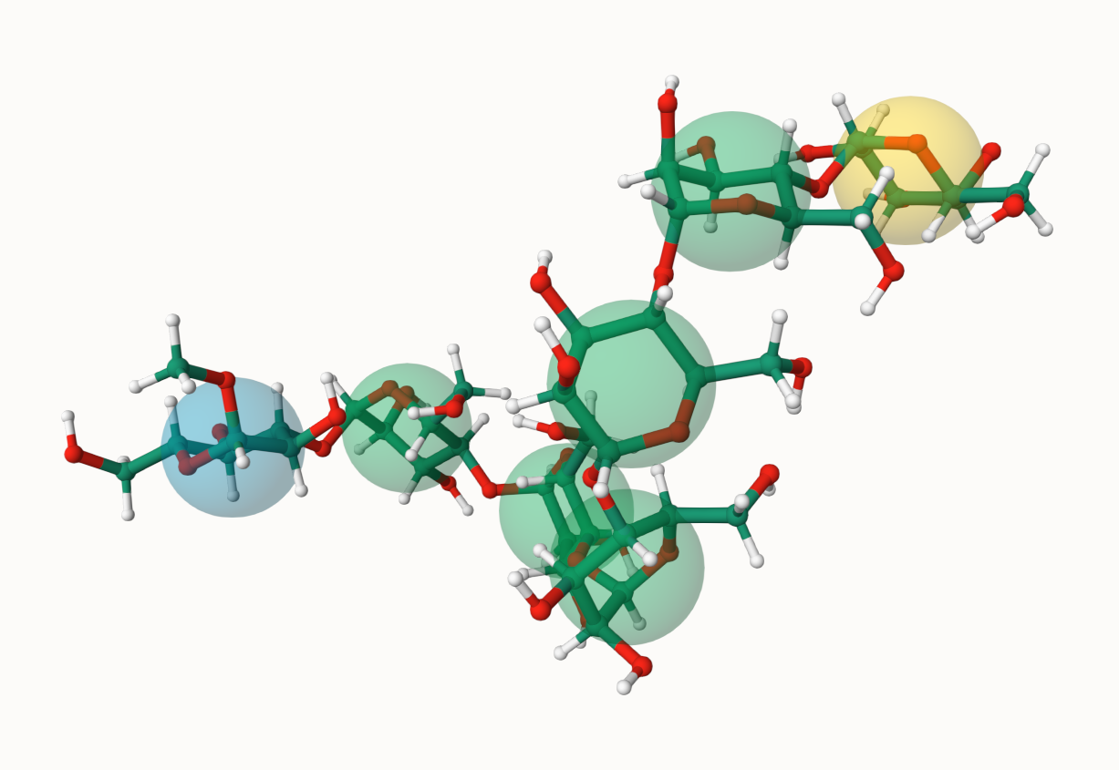 Example of 3D structure for glycan